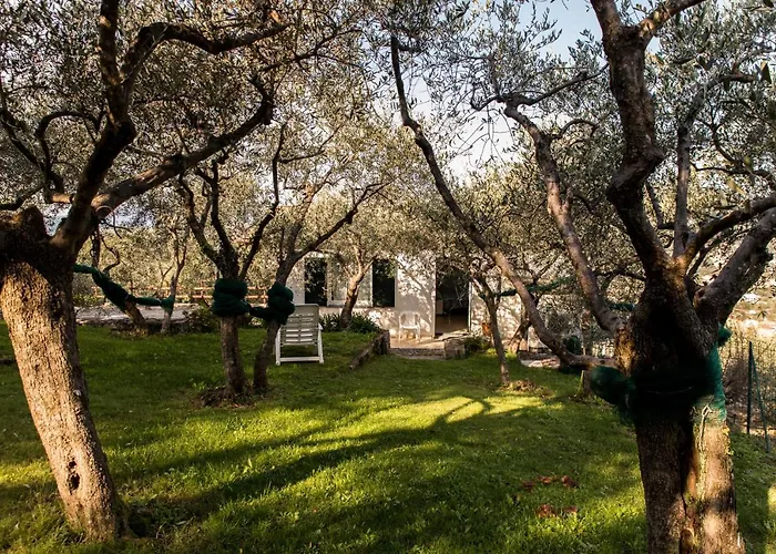La Bilaia - Casa In Avventurose Colline - Homes In Adventurous Countryside Hills - Check In, Payment&accept Contract On Line Obligatory *