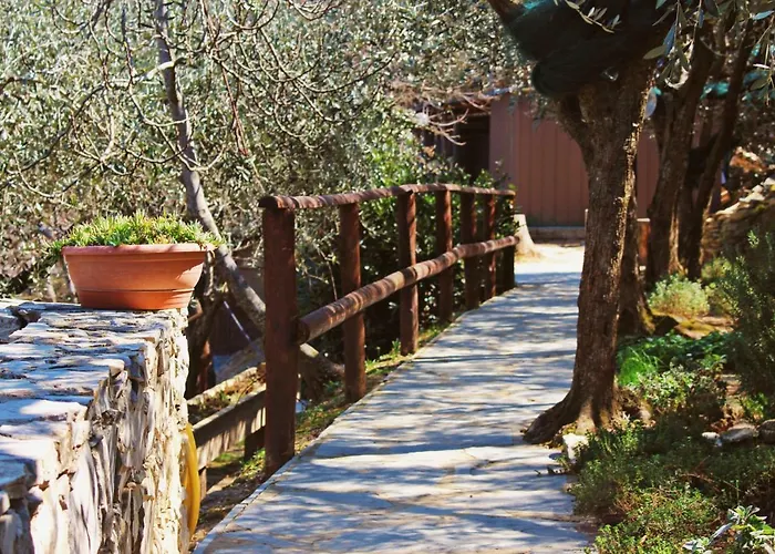 La Bilaia - Casa In Avventurose Colline - Homes In Adventurous Countryside Hills - Check In, Payment&accept Contract On Line Obligatory Casa vacanze Lavagna