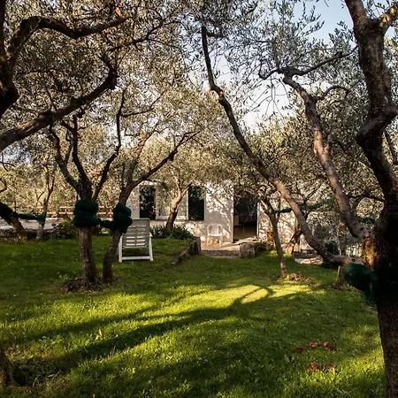 Agri Bed - L'affittacamere In Collina - Guest On The Hill *