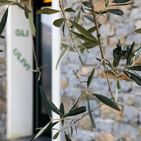 Agri Bed - L'affittacamere In Collina - Guest On The Hill Ferienhaus Lavagna