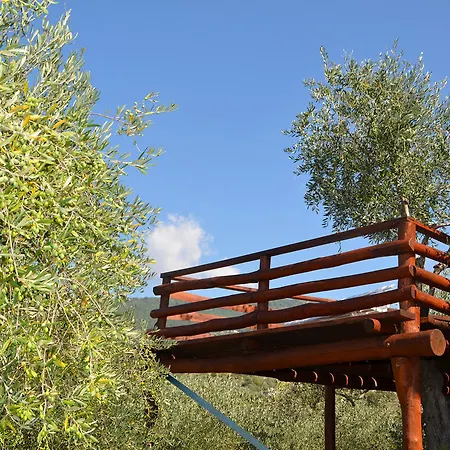 Agri Bed - L'affittacamere In Collina - Guest On The Hill *